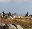 Portugal horse riding