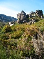 nature in Peneda Geres