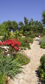 lovely colourful gardens