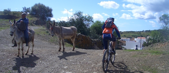 Algarve cycling