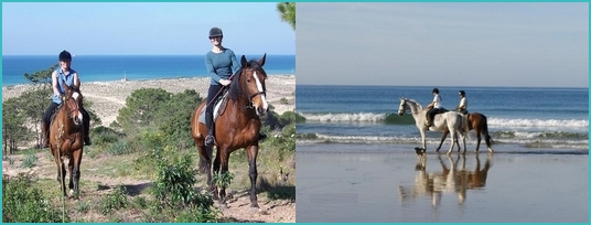 Algarve horse riding