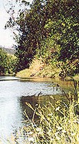 Arade river