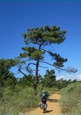 cycling in Portugal