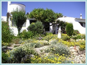 Lemon Tree Cottage
