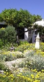 outside Lemon Cottage