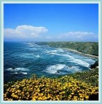 Walking by Costa Vicentina