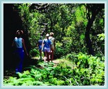 walking in Madeira