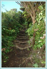 walking in the Azores